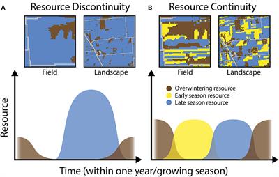 Temporal Resource (Dis)continuity for Conservation Biological Control: From Field to Landscape Scales